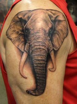 elephant-tattoos-for-men